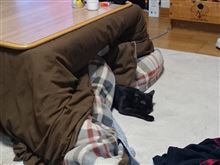 【こたつねこ】・・・。