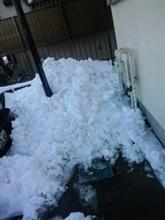 雪 雪