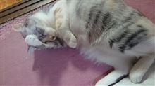 こんばんは❗