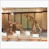 ダンボール遊園地 in ホー ...