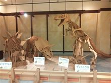 ダンボール遊園地 in ホークスタウンモールに行って来ました