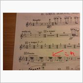 フルート奏者の暴動が起こるト ...