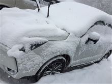 先週末のお出かけ