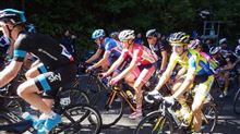 JapanCup2014応援に出撃@Allez, 土井ちゃん !! 激走応援編..... JapanCup2014応援に出撃@Allez, 土井ちゃん !! 激走応援編.....