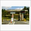 新潟県　奥只見シルバーラインにて　(2006.11)