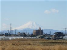 休日に見た富士山