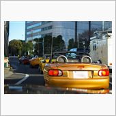 東京日和2015（1月）