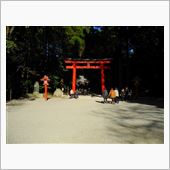 初。。。