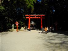初。。。