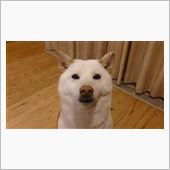 正面視～(^-^)…。