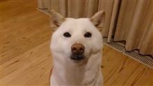正面視～(^-^)…。