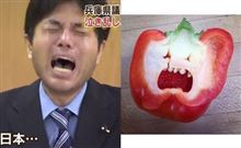ののちゃんの精神年齢は? ののちゃんの精神年齢は?