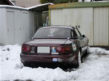 やっぱ愉しい