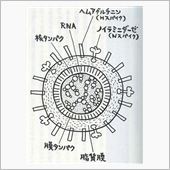大流行にはならないで！