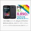 Polaroid pigu
