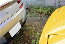 紳士的な音とは