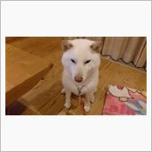 さて週末…。
