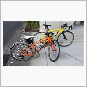 今年初めての自転車