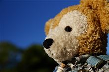 2014.12.13 ディズニーシーインパ③(ダッフィーの冒険) 2014.12.13 ディズニーシーインパ③(ダッフィーの冒険)