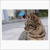 近くの公園に