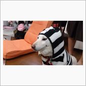 きょうのばにら子(^-^)…。