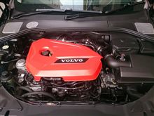 VOLVOくんと戯れる