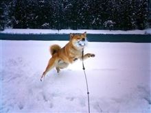 冬の汚れ落としプチオフ！