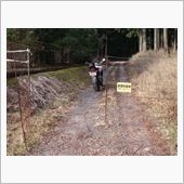 垂井でプチ林道探索