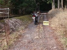 垂井でプチ林道探索