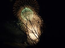 奈良の山焼きや、納車待ちデミオなど