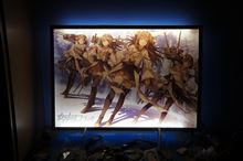 こうして勉強していくのである こうして勉強していくのである