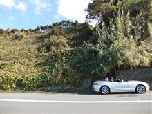 BMW Z4（E89)のレンタカーに乗った1