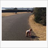 車の無い一日...。