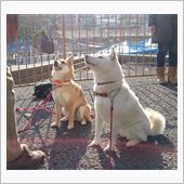 昨日の写真で癒されて…。