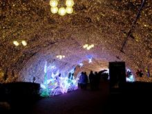 御殿場　時ノ栖　LEDの小径。