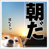 眠い・・・