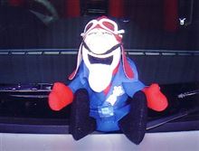 こちらも遅まきながら ・・・ こちらも遅まきながら ・・・