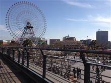 パシフィコなう