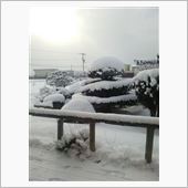 雪雪～(ノ&#180;∀｀*)
