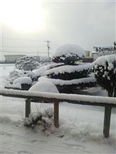 雪雪～(ノ&#180;∀｀*)