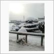 雪雪～(ノ&#180;∀｀*)