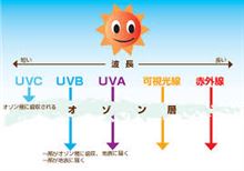 帰ってきたデスブログ！（紫外線のせい？）