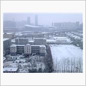 ホントに雪なのか！