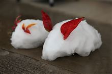 雪