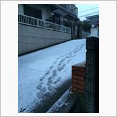 2015年初積雪