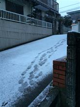 2015年初積雪