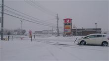無情の雪
