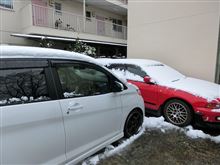 雪かき 雪かき