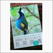 『世界の美しい色の鳥』