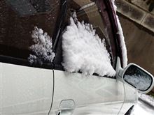 雪でした(*&#180;･ω･)(･ω･｀*)ﾈー☆